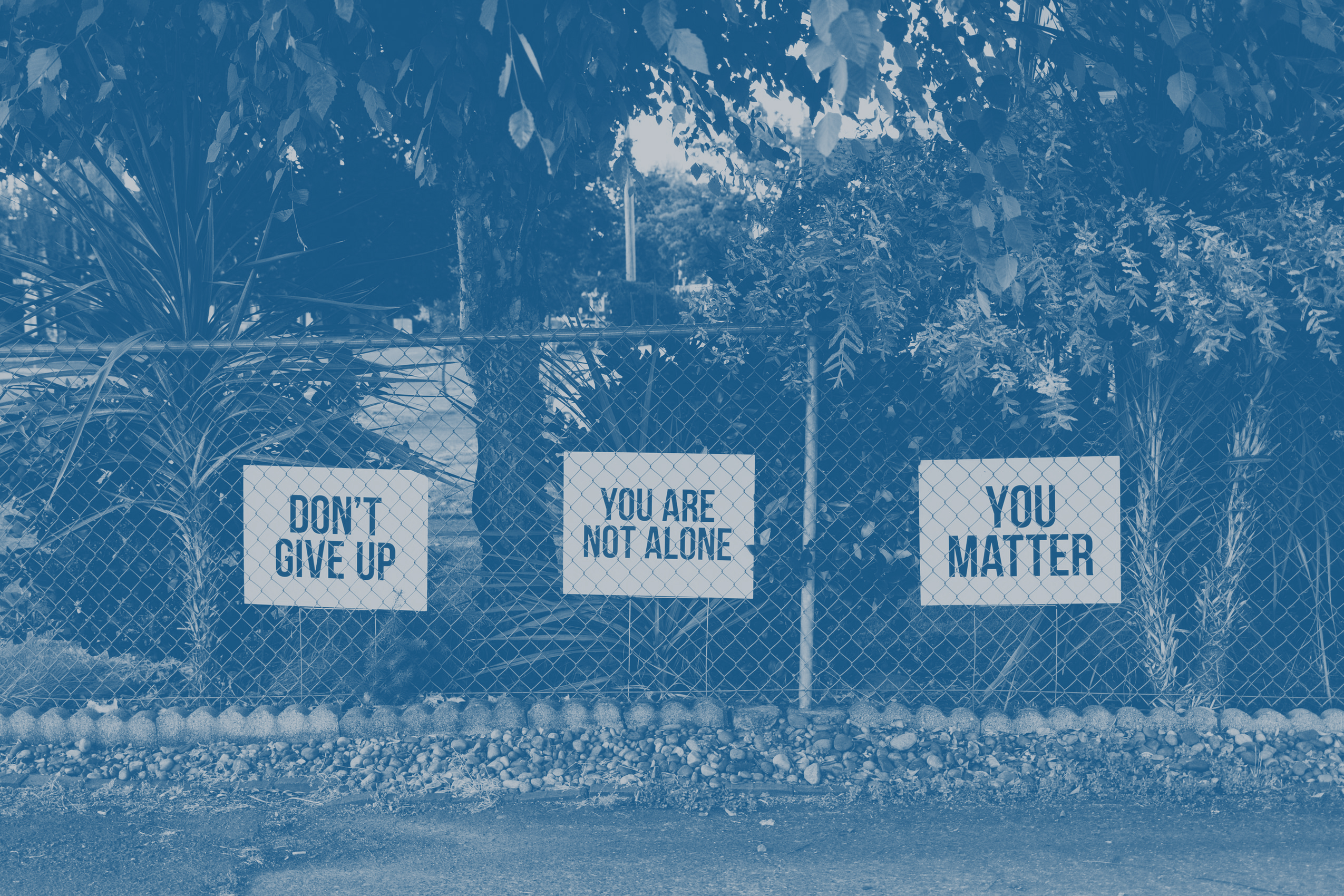 photo-1564121211835-e88c852648ab don't give up motivation
